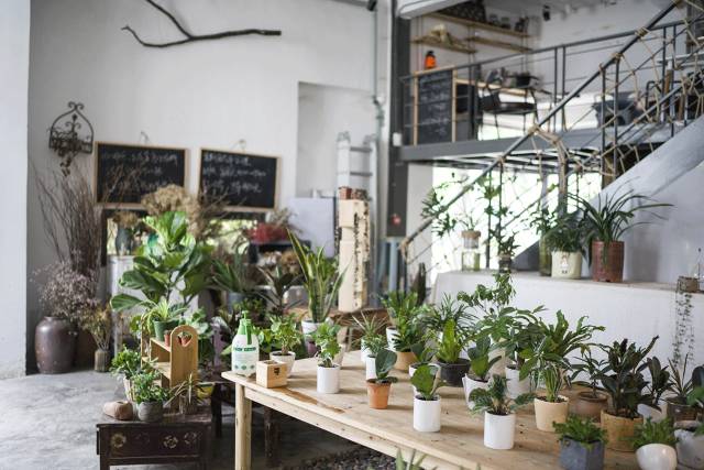 都抱怨斑马君最近没推荐新店，今天打包十家给你够不够？