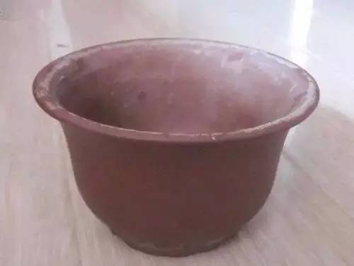 9月至12月什么花好看,9月适宜养的花