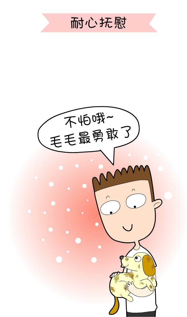 关于一个铲屎官和四只猫的漫画,铲屎官照顾猫的漫画