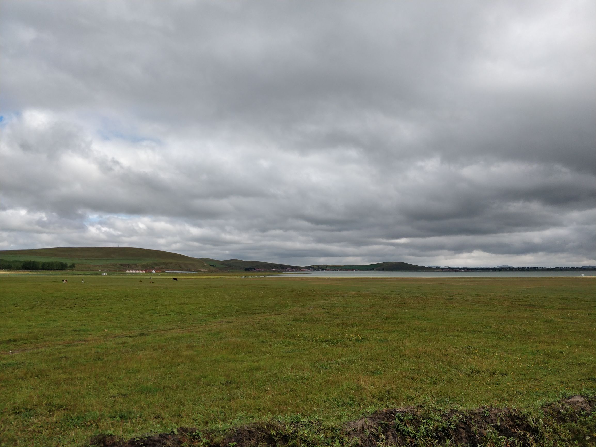 夏末自驾正当游！沽源天鹅湖游山玩水逛草原