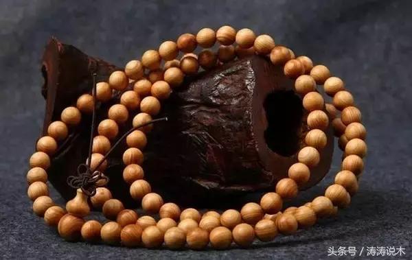 崖柏护理方法,崖柏保护条例