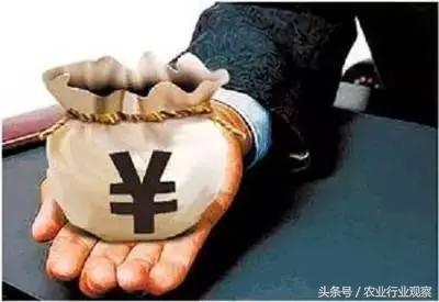 大学生返乡创业案例,带你走进100个真实的返乡创业故事