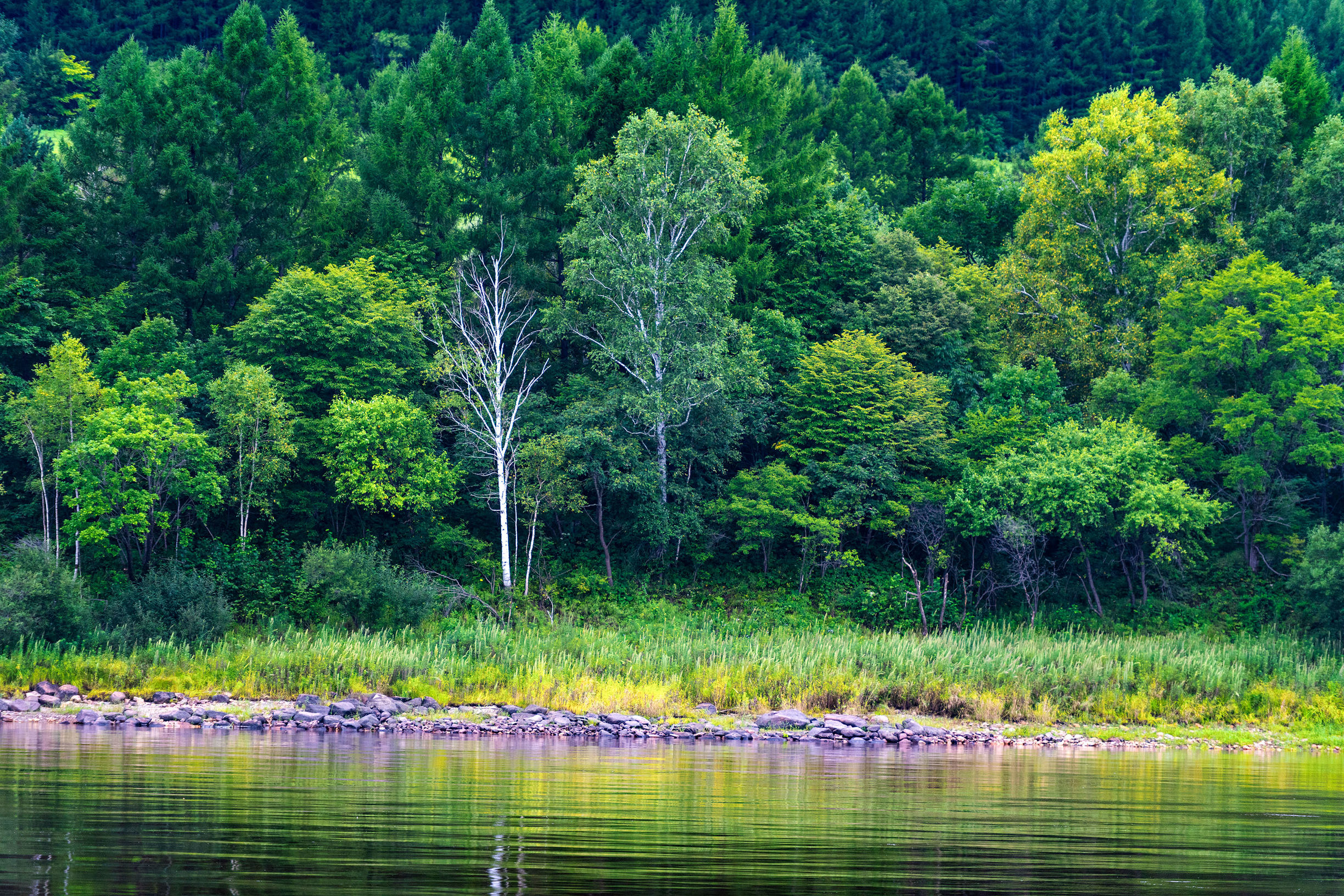 黑龙江自驾游美食攻略,黑龙江环线自驾游攻略