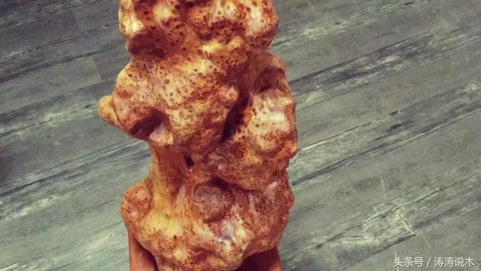 崖柏护理方法,崖柏保护条例