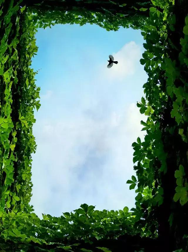 照片拍得太死板怎么补救,照片拍出来不好看怎么调整