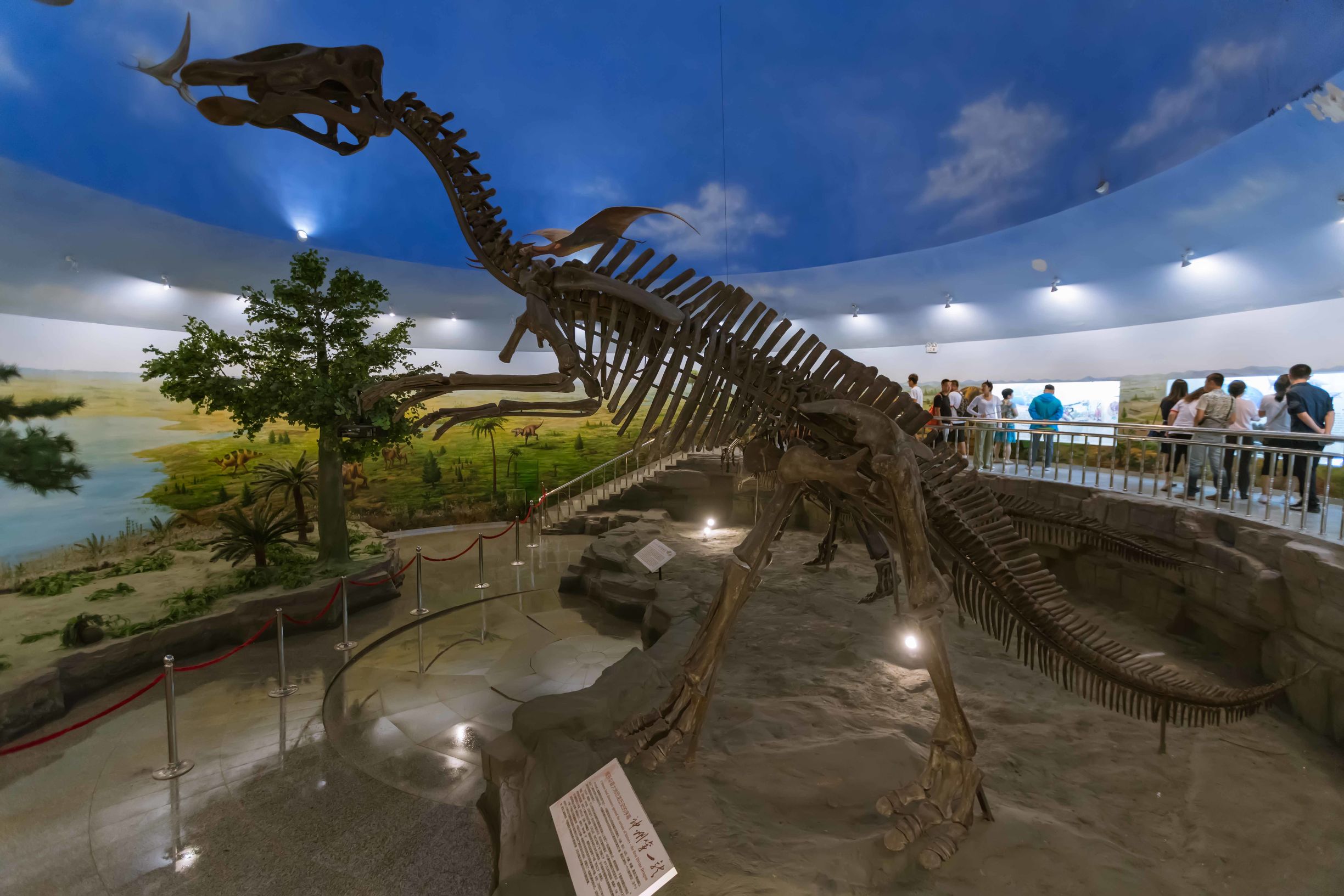 黑龙江自驾游美食攻略,黑龙江环线自驾游攻略