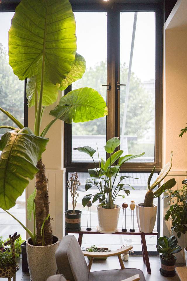 都抱怨斑马君最近没推荐新店，今天打包十家给你够不够？