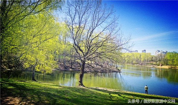 俄罗斯烤肉和牛排哪个好吃,俄罗斯烤肉种类