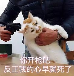 代运营到底有多可怕,代练的实力有多恐怖