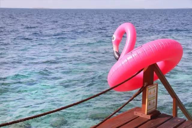 马尔代夫真的值得去吗,去马尔代夫的真实感受