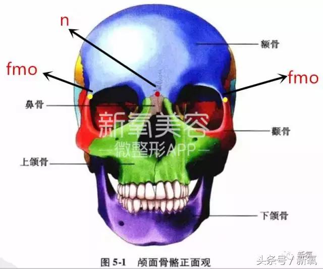 杨紫瘦了腿显得不纤细,杨紫变美之路脸怎么瘦的
