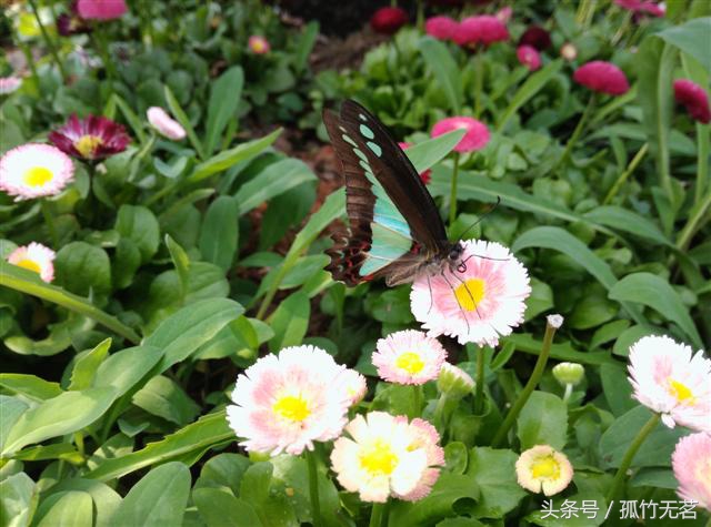 纽曼纽扣gps准吗,纽曼纽扣手机测评