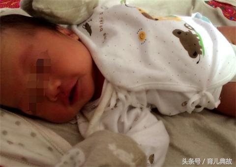 头扁的像铲子,头扁扁的像甲虫一样