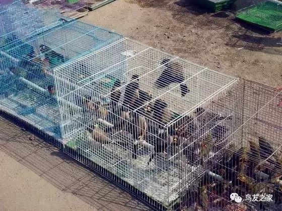 玩索而有得的索解释,玩索而有得的出处