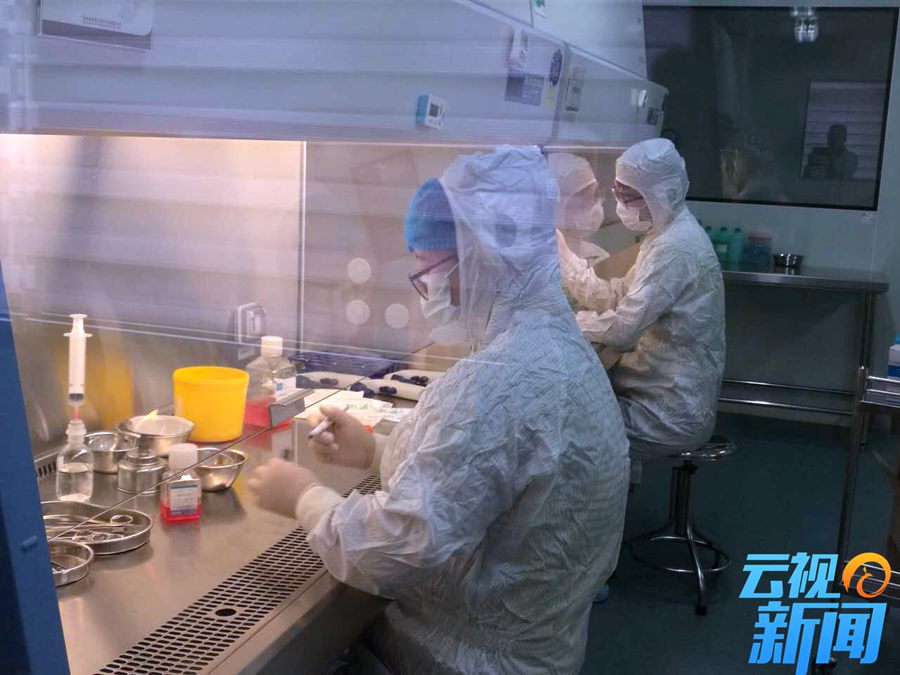 干细胞研究新成果,我国干细胞抗衰老研究获重大突破