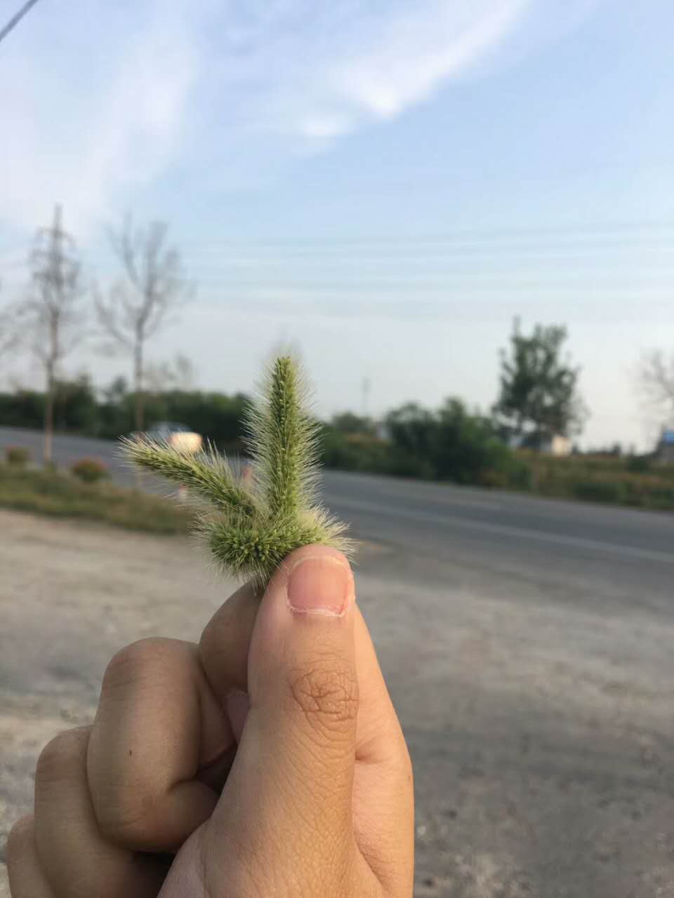 本溪沈阳304国道,沈阳浑南304国道