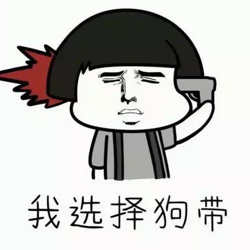 年收益10%债基,哪个货基收益高