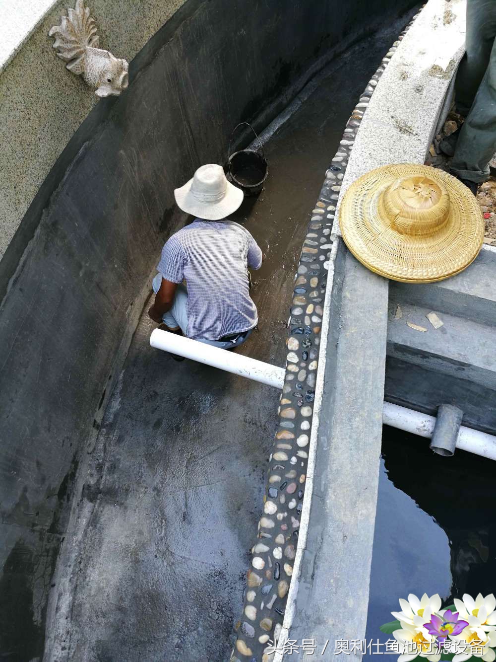 10吨小鱼池的完美养成记