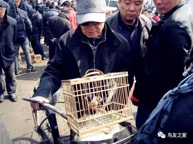 玩索而有得的索解释,玩索而有得的出处