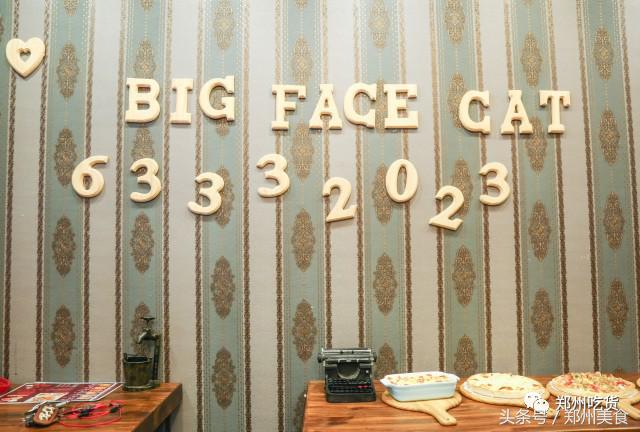 郑州东区萌猫主题披萨小店，铲屎官快来这吸猫了！