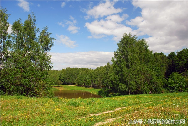 俄罗斯烤肉和牛排哪个好吃,俄罗斯烤肉种类