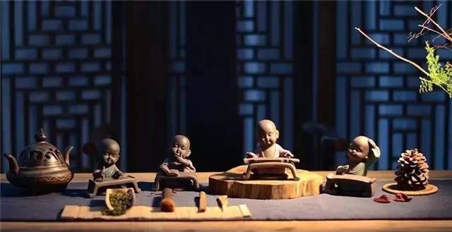 养茶宠有什么危害,你真的会养兰花吗