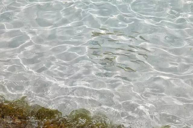 马尔代夫真的值得去吗,去马尔代夫的真实感受