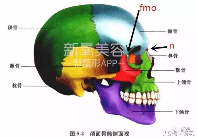 杨紫瘦了腿显得不纤细,杨紫变美之路脸怎么瘦的