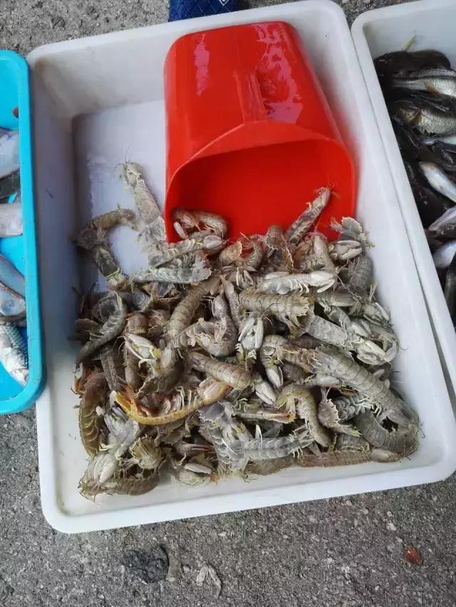 有一种炫富叫开海了,天津炫富视频