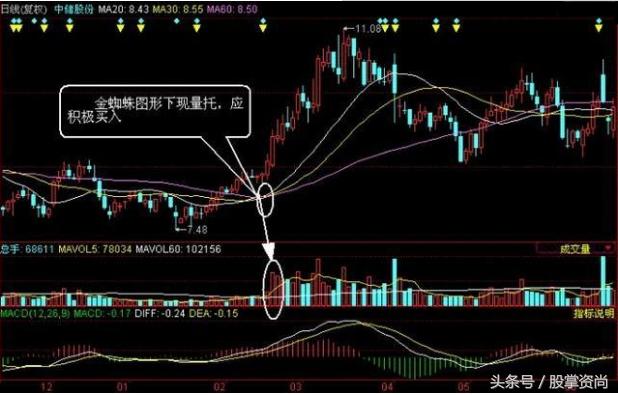 均线金蜘蛛炒股技巧,均线金蜘蛛战法