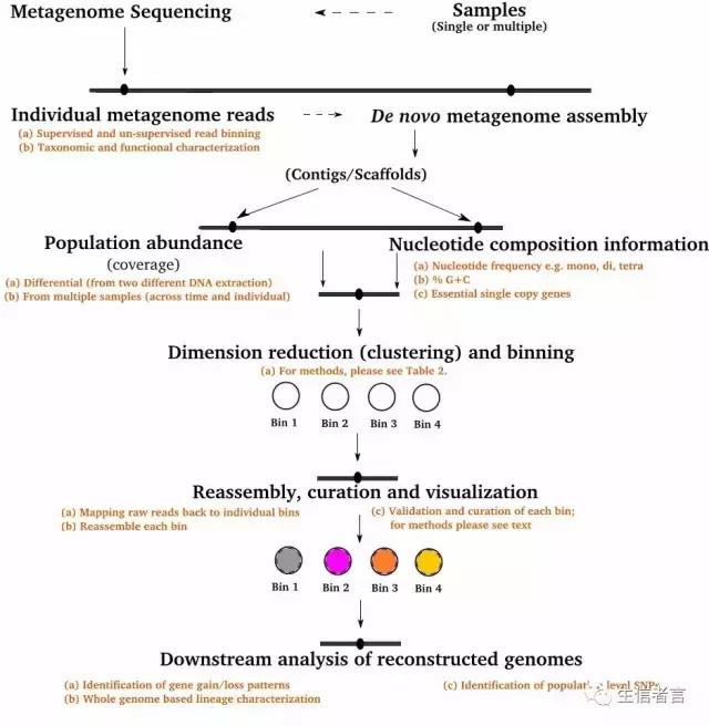 宏基因组多样性,宏基因组的binning分析是什么