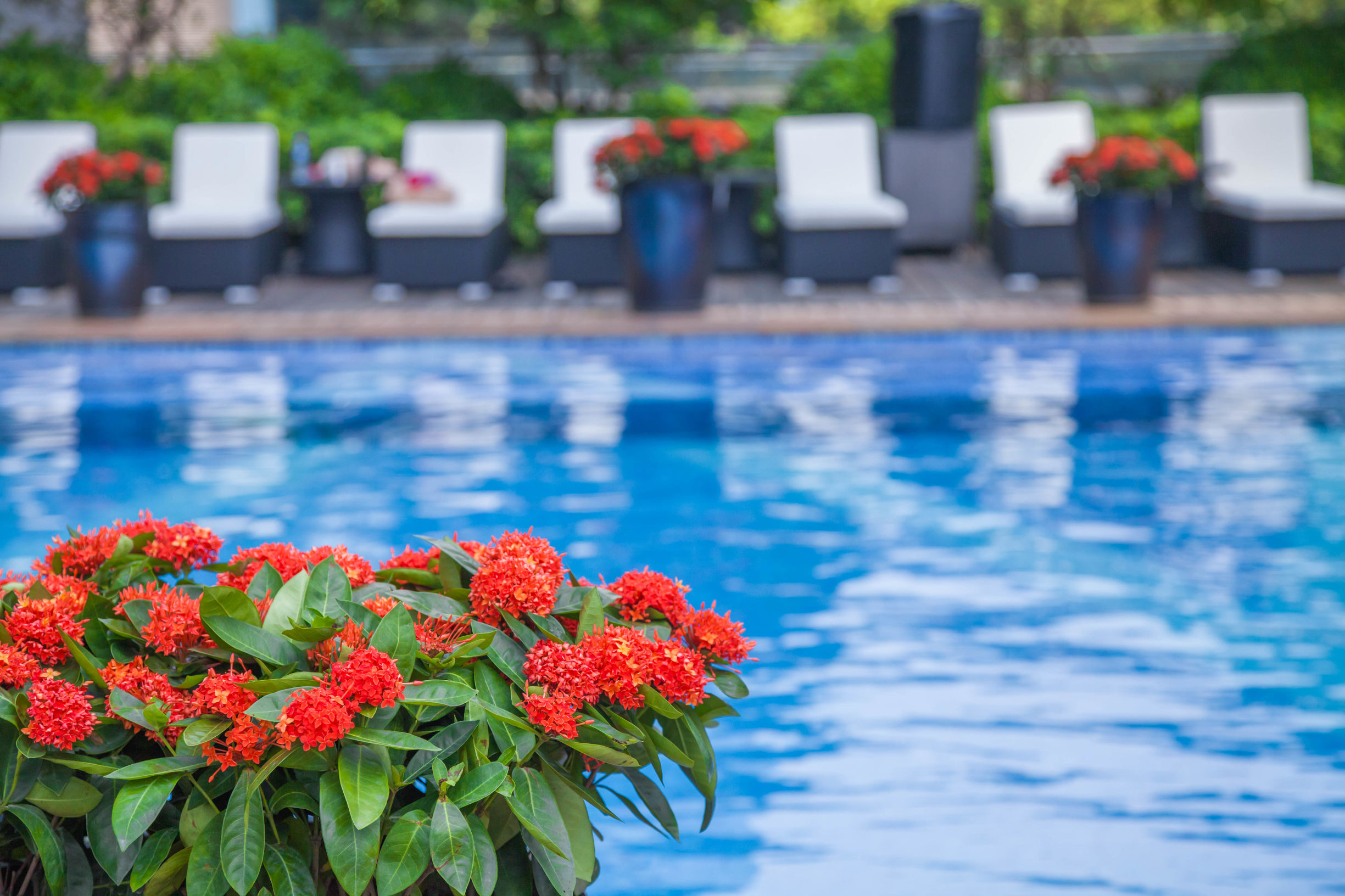 住好点！深圳皇庭33层遁入云端，24h轻旅行停不下来的“V”