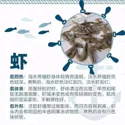 有一种炫富叫开海了,天津炫富视频