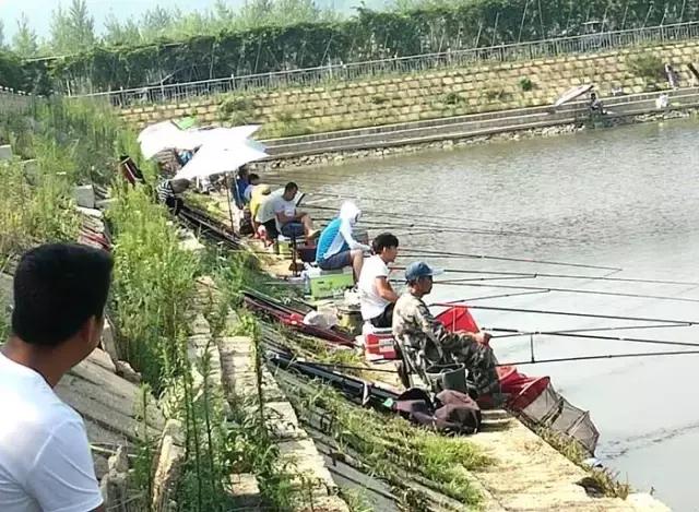 黄花钓鱼大赛,岫岩满族自治县黄花甸镇篮球赛