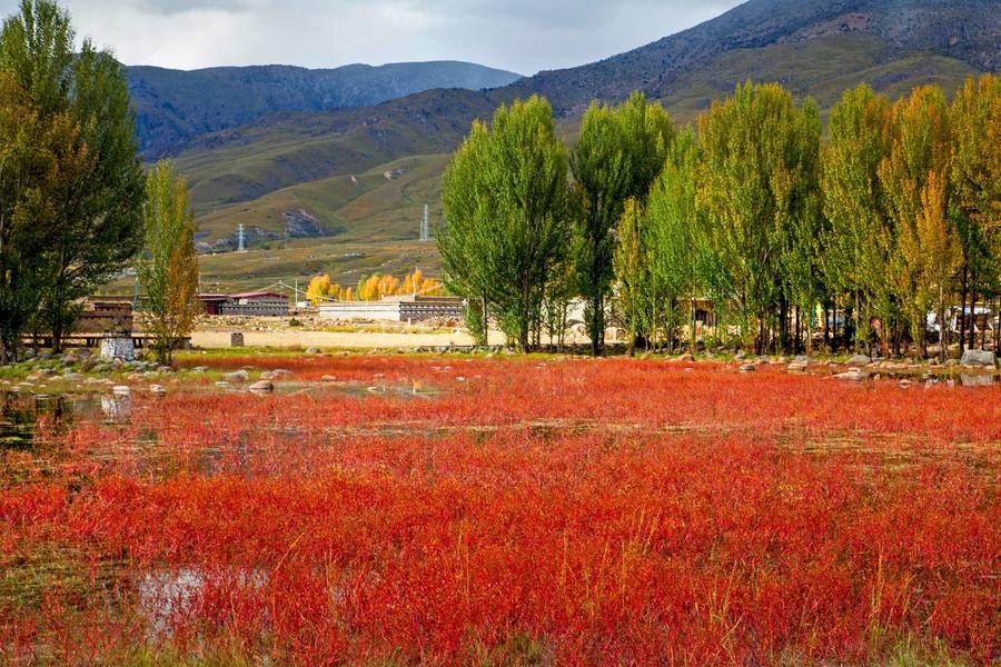 花都港龙,稻城三神山风景在哪里