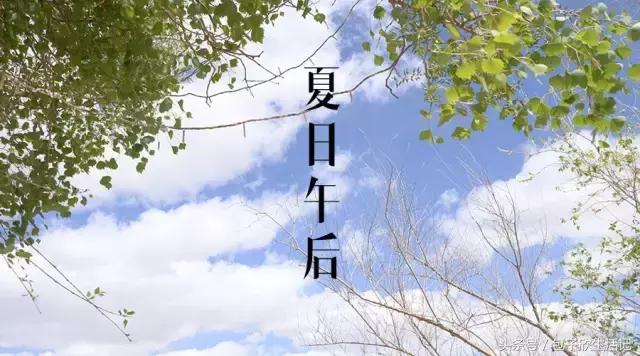 如果你喜欢喝这杯茶，也许我可以请你｜奈雪