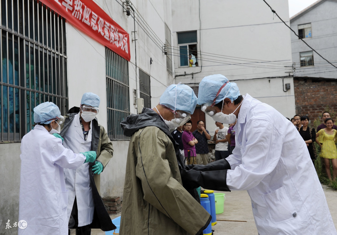 登革热引发恐慌,请收好这份登革热科普知识