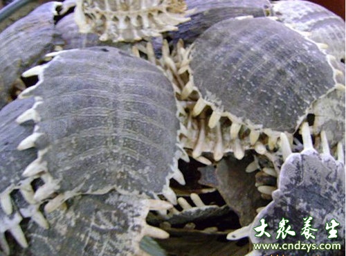 女人滋阴补血的10种食物,女人最靠谱的六种补血食疗方法