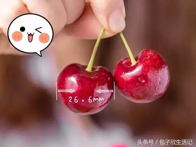 如果你喜欢喝这杯茶，也许我可以请你｜奈雪