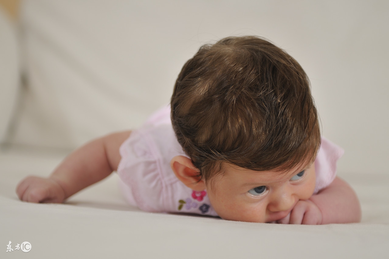 登革热引发恐慌,请收好这份登革热科普知识