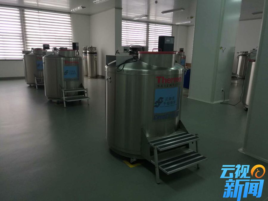 干细胞研究新成果,我国干细胞抗衰老研究获重大突破