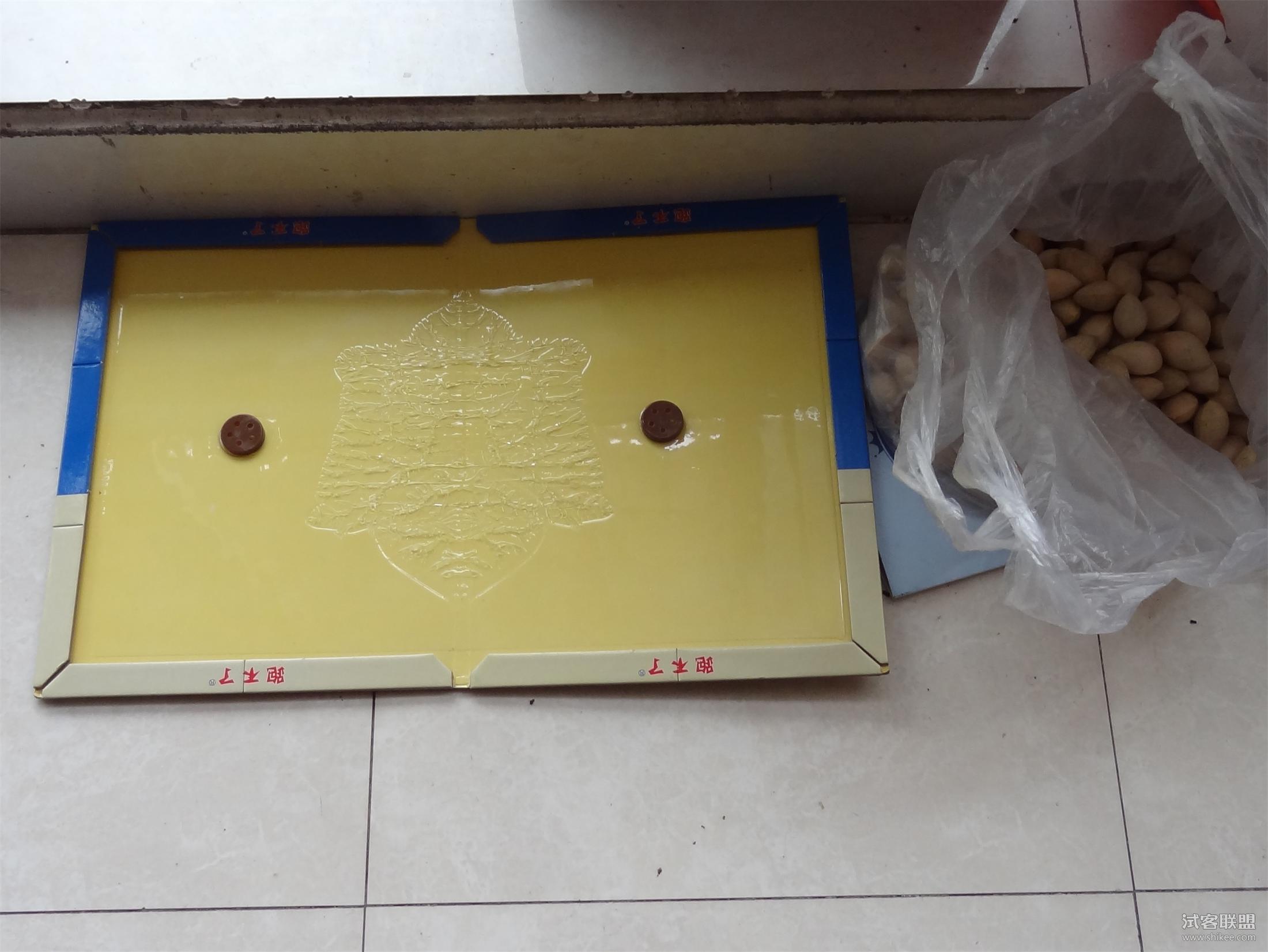 仓鼠越狱了怎么办？不怕四个妙招助你寻回它