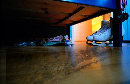 仓鼠越狱了怎么办？不怕四个妙招助你寻回它