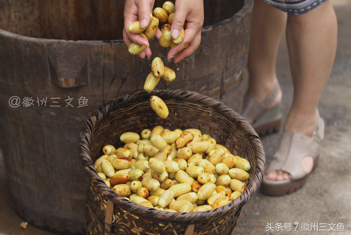 徐州金丝琥珀蜜枣,姚村金丝琥珀蜜枣