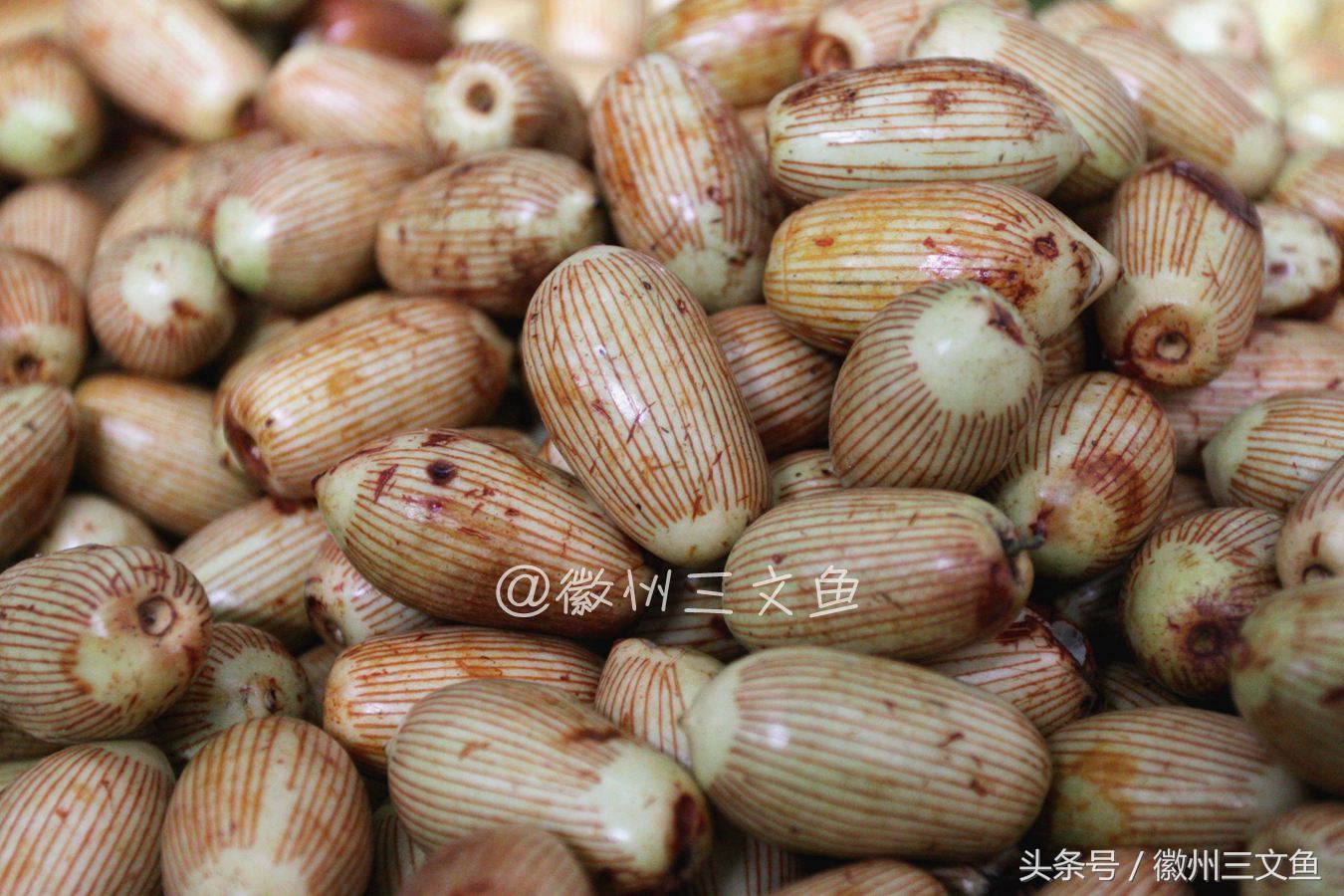 徐州金丝琥珀蜜枣,姚村金丝琥珀蜜枣