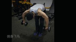 练宽肩最有效的动作,可以把肩练宽的动作