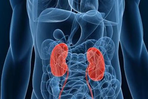 老中医：“肾主骨”，这五种养肾绝招学会就不怕“虚”了！