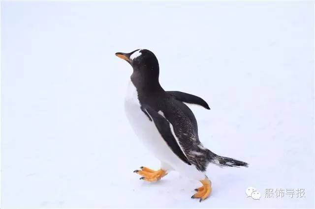 美翻天！时尚达人の日本旅行穿搭记录