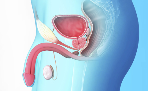 精囊结石怎么办必须手术吗,精囊结石用什么方法治疗