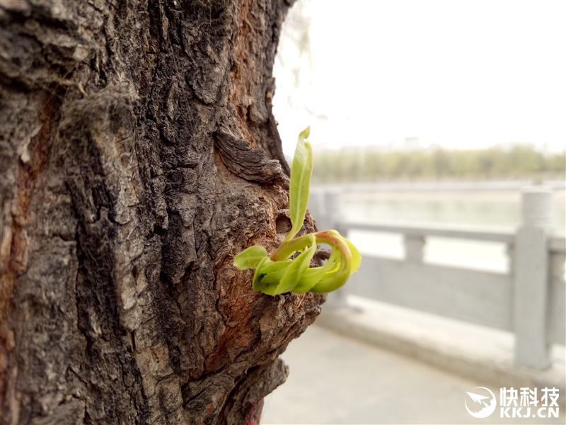 oppocoloros11指纹解锁,oppo手机r7s指纹识别